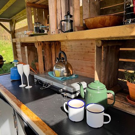 Geodesic Dome Glamping Otel Llanidloes Dış mekan fotoğraf