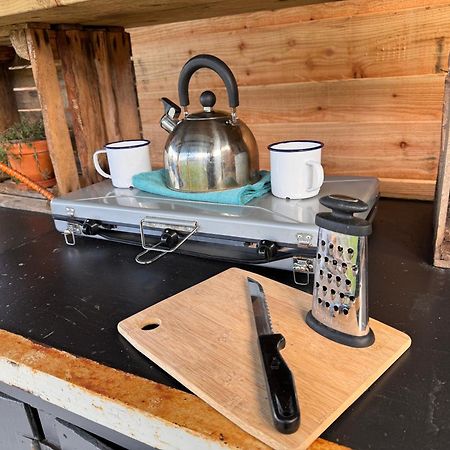 Geodesic Dome Glamping Otel Llanidloes Dış mekan fotoğraf