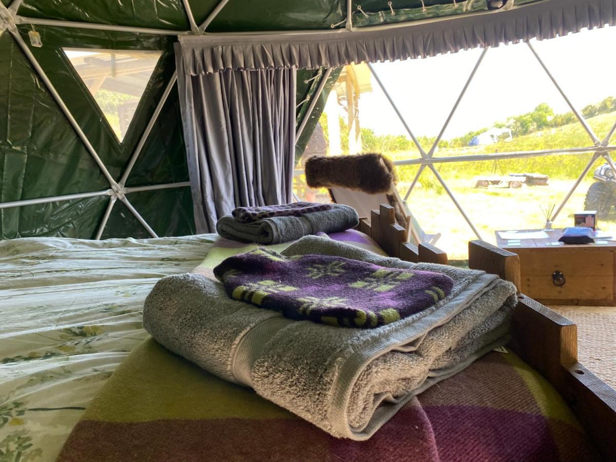 Geodesic Dome Glamping Otel Llanidloes Dış mekan fotoğraf