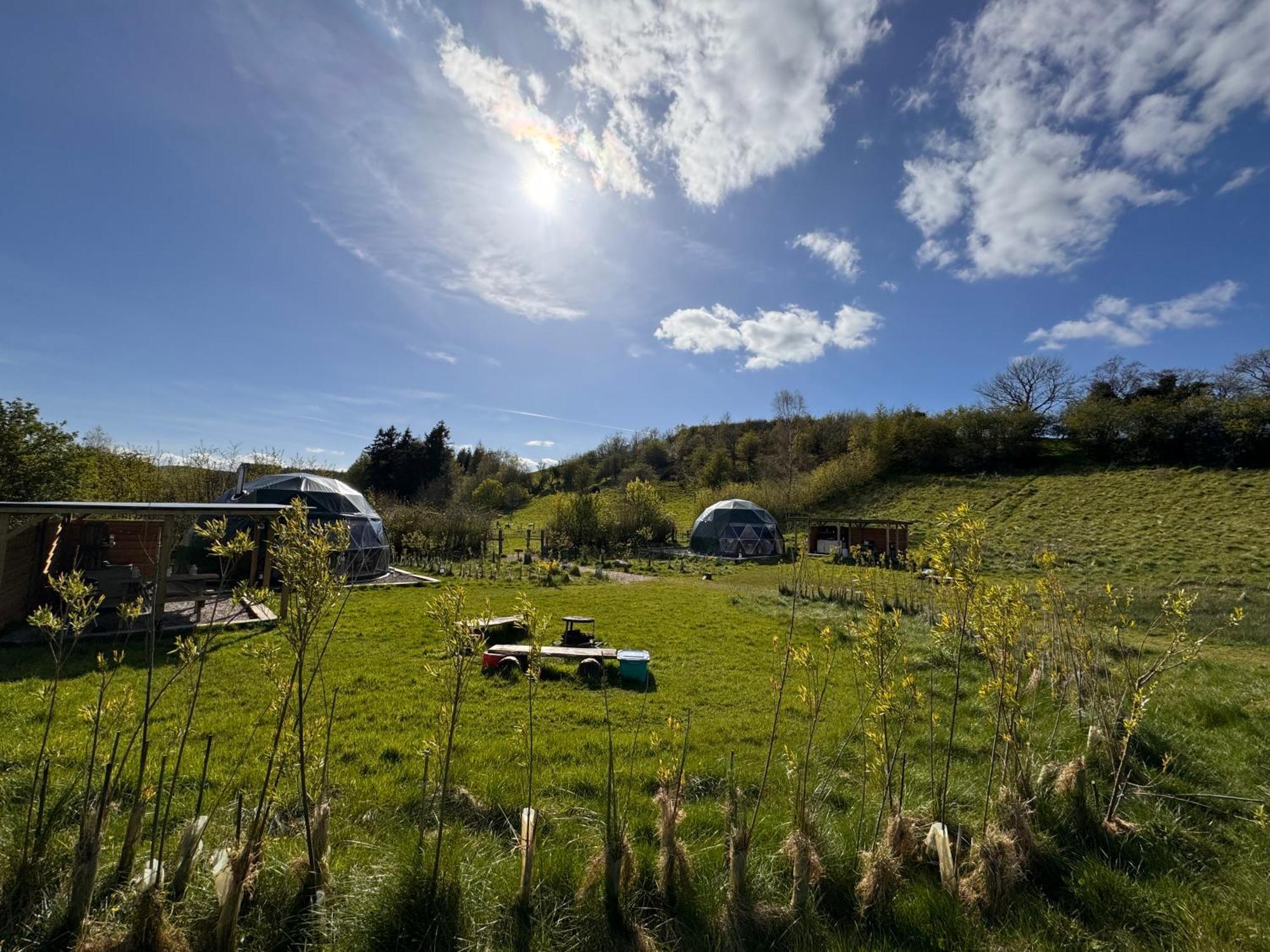 Geodesic Dome Glamping Otel Llanidloes Dış mekan fotoğraf